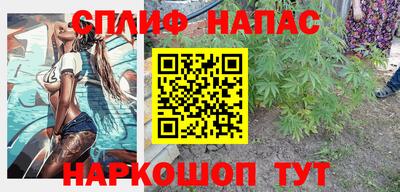 МДПВ Можга