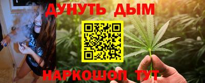 МДПВ Можга