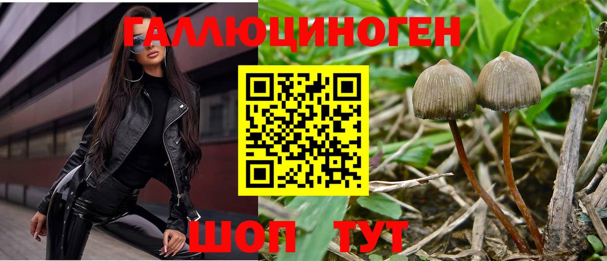 продажа наркотиков  Галлюциногенные грибы мухоморы  Вход с VPN  Сочи  Псилоцибиновые грибы Psilocybe 